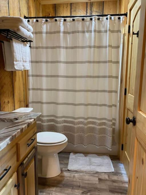 The Llaguna Lodge - New Cabin, Sleeps 10, Fire Pit, Hot Tub, In Blue Ridge , Ga Exterior foto